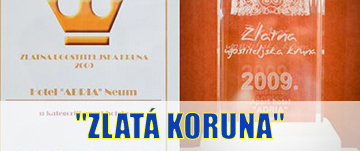 CZ nagrada